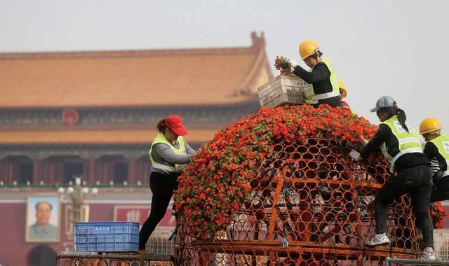京西稻、“猫眼”小菊将首次亮相长安街花坛 人工智能 京西稻、“猫眼”小菊将首次亮相长安街花坛 京西稻、“猫眼”小菊将首次亮相长安街花坛 人工智能