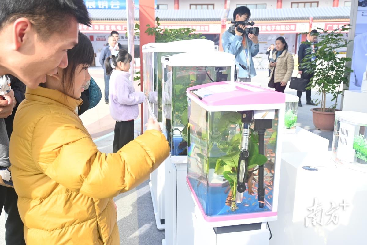 潮州饶平举办“水族机电、智能茶具”展销会一众智能化产品亮相 智能科技 潮州饶平举办“水族机电、智能茶具”展销会一众智能化产品亮相 潮州饶平举办“水族机电、智能茶具”展销会一众智能化产品亮相 智能科技