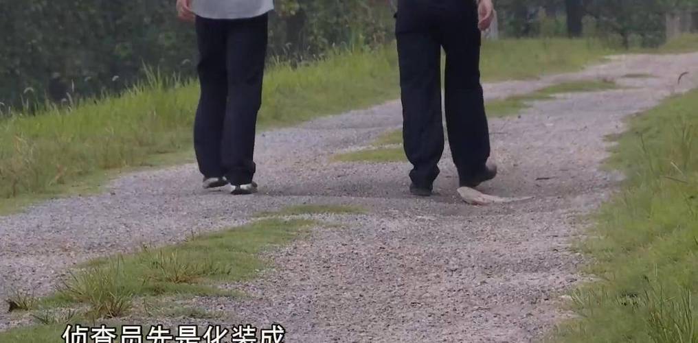 18年湖北废弃养鸡场黑土变白引群众报警查询访问牵出两亿惊天案 互联通信 18年湖北废弃养鸡场黑土变白引群众报警查询访问牵出两亿惊天案 18年湖北废弃养鸡场黑土变白引群众报警查询访问牵出两亿惊天案 互联通信