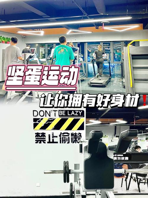 坚蛋运动产品分析申报 智能科技 坚蛋运动产品分析申报 坚蛋运动产品分析申报 智能科技