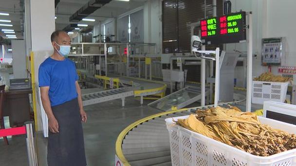 师宗烤烟收购引入智能化妆备 人工智能 师宗烤烟收购引入智能化妆备 师宗烤烟收购引入智能化妆备 人工智能