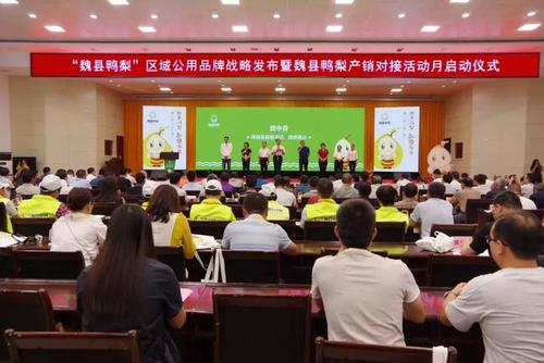 大年夜斜街盛开的电商创业之花 魏县大年夜斜街电商做事站带动扶贫纪实 互联通信 大年夜斜街盛开的电商创业之花 魏县大年夜斜街电商做事站带动扶贫纪实 大年夜斜街盛开的电商创业之花 魏县大年夜斜街电商做事站带动扶贫纪实 互联通信
