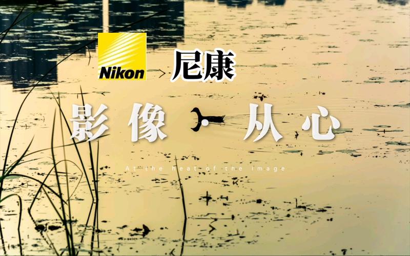 6个摄影品牌1688工厂商号低价买旗舰同款摄影佬收藏 智能家居 6个摄影品牌1688工厂商号低价买旗舰同款摄影佬收藏 6个摄影品牌1688工厂商号低价买旗舰同款摄影佬收藏 智能家居