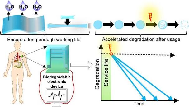 科学家制备新型生物可降解电子元件将用于生物电子基底及封装层 互联通信 科学家制备新型生物可降解电子元件将用于生物电子基底及封装层 科学家制备新型生物可降解电子元件将用于生物电子基底及封装层 互联通信