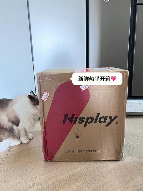 开箱发球机!柴秒被击中额头神色超囧 智能家居 开箱发球机!柴秒被击中额头神色超囧 开箱发球机!柴秒被击中额头神色超囧 智能家居