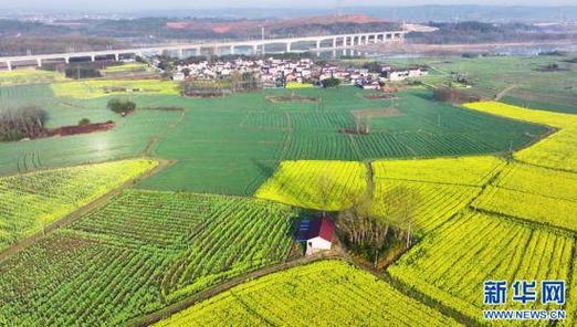 绩溪加快培植长三角绿色农产品分娩加工供应基地 互联通信 绩溪加快培植长三角绿色农产品分娩加工供应基地 绩溪加快培植长三角绿色农产品分娩加工供应基地 互联通信