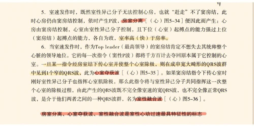 大年夜豆分离蛋白在喷鼻香肠加工中的应用研究 智能科技 大年夜豆分离蛋白在喷鼻香肠加工中的应用研究 大年夜豆分离蛋白在喷鼻香肠加工中的应用研究 智能科技