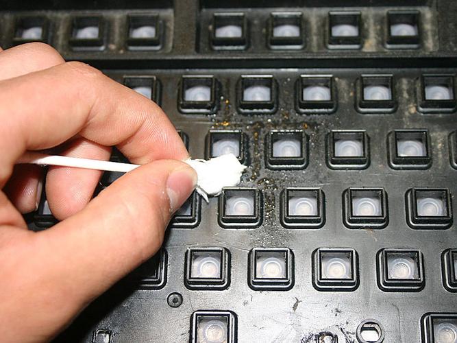 比马桶还脏？键盘不清理就是这样的下场 比马桶还脏？键盘不清理就是这样的下场 互联通信