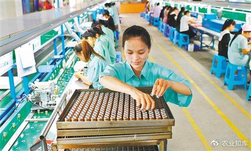 安远电子信息家当成长迅速 智能家居 安远电子信息家当成长迅速 安远电子信息家当成长迅速 智能家居