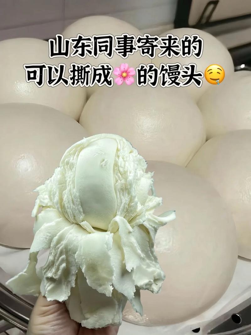 山东人在馒头届的科研产品!其实是太像了搞笑 智能科技 山东人在馒头届的科研产品!其实是太像了搞笑 山东人在馒头届的科研产品!其实是太像了搞笑 智能科技