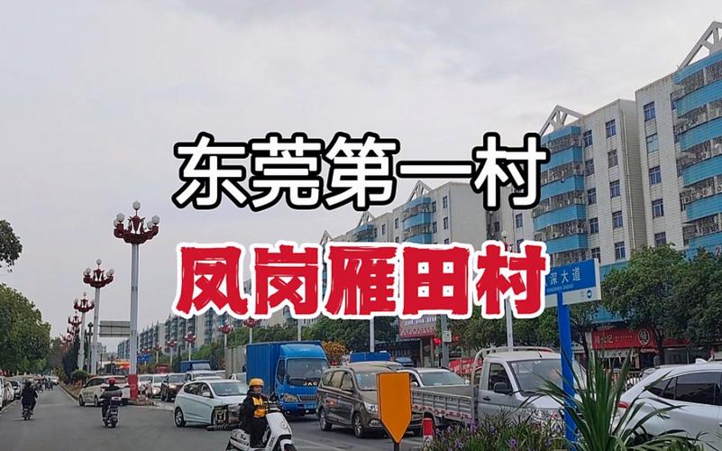 凤岗镇雁田村 培植家当转型 进级核心区 凤岗镇雁田村 培植家当转型 进级核心区 互联通信