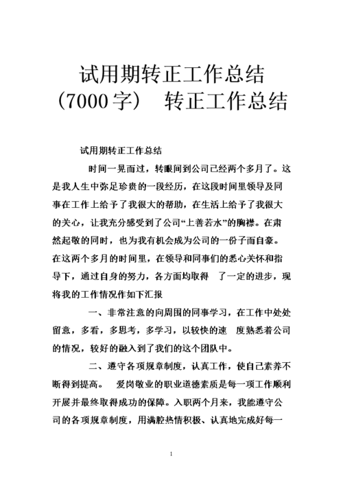 发卖试用期转正工作总结 人工智能 发卖试用期转正工作总结 发卖试用期转正工作总结 人工智能
