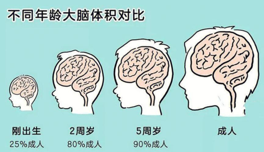 若前提允许请让孩子尽早接触到这3种物品会激发大年夜脑发育 若前提允许请让孩子尽早接触到这3种物品会激发大年夜脑发育 互联通信