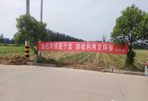 减“白”护“绿”废旧农膜收受接收扮靓村落 智能科技 减“白”护“绿”废旧农膜收受接收扮靓村落 减“白”护“绿”废旧农膜收受接收扮靓村落 智能科技