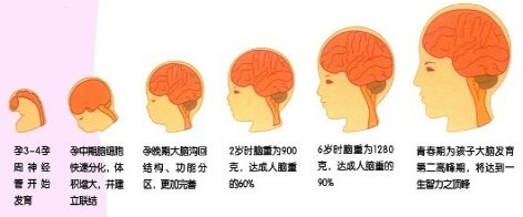 标题:电子产品和阅读书本对大年夜脑发育的影响 智能科技 标题:电子产品和阅读书本对大年夜脑发育的影响 标题:电子产品和阅读书本对大年夜脑发育的影响 智能科技