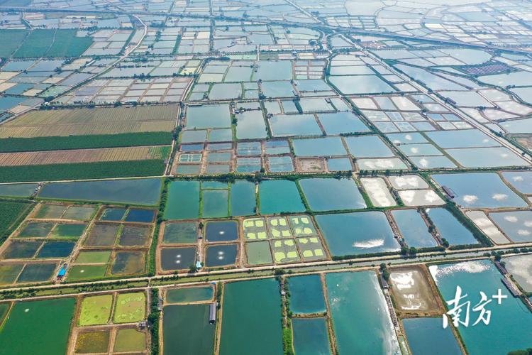 鼎湖沙浦镇入选2023年国家农业家当强镇有何成长密码? 互联通信 鼎湖沙浦镇入选2023年国家农业家当强镇有何成长密码? 鼎湖沙浦镇入选2023年国家农业家当强镇有何成长密码? 互联通信