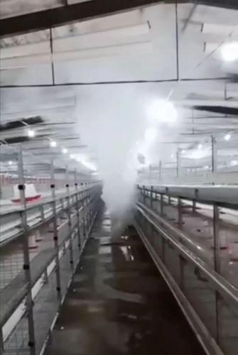 鸡舍烟雾熏蒸消毒若何运用效果好？吴娟养鸡教室分享 鸡舍烟雾熏蒸消毒若何运用效果好？吴娟养鸡教室分享 智能科技