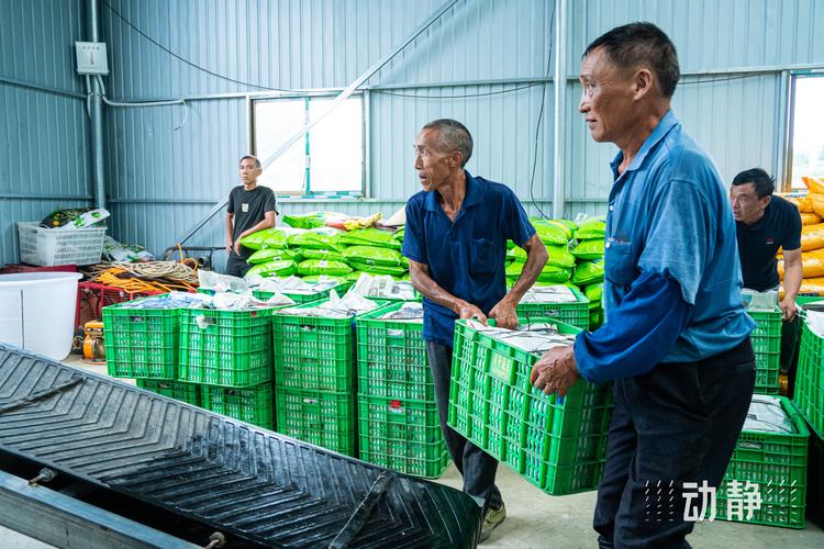 拎稳“菜篮子” 鼓起“钱袋子” 拎稳“菜篮子” 鼓起“钱袋子” 互联通信
