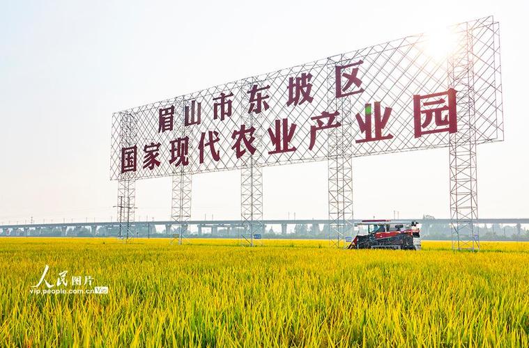 不雅观察丨雅江：打造新时代更高水平“天府粮仓” 不雅观察丨雅江：打造新时代更高水平“天府粮仓” 智能家居