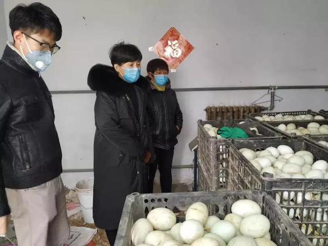 解平易近燃眉之急！衡水市市场监管局帮卖鸭蛋 解平易近燃眉之急！衡水市市场监管局帮卖鸭蛋 智能家居