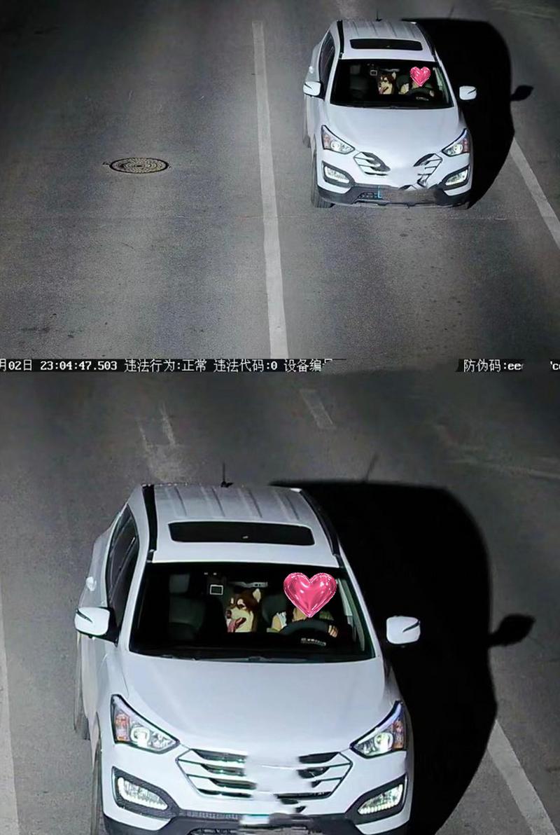 车全程监控录像 车全程监控录像 智能家居